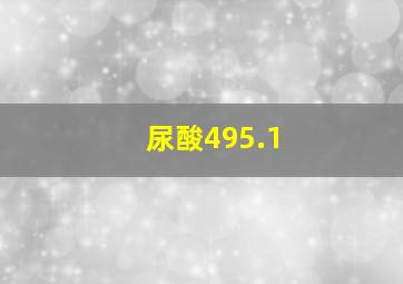 尿酸495.1