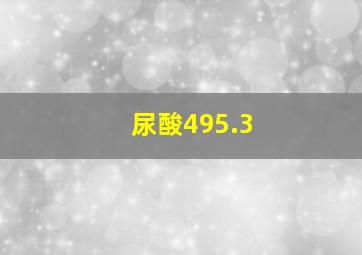 尿酸495.3