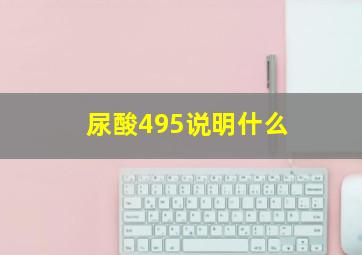 尿酸495说明什么