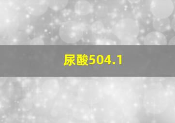 尿酸504.1