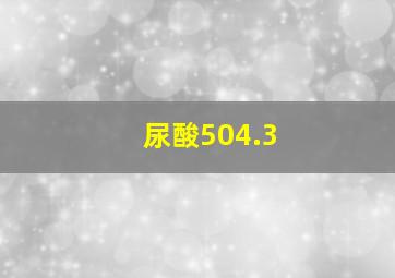 尿酸504.3