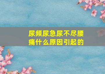 尿频尿急尿不尽腰痛什么原因引起的