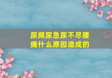 尿频尿急尿不尽腰痛什么原因造成的