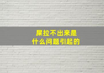 屎拉不出来是什么问题引起的