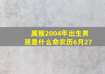 属猴2004年出生男孩是什么命农历6月27