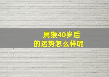 属猴40岁后的运势怎么样呢