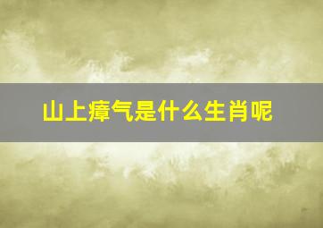 山上瘴气是什么生肖呢