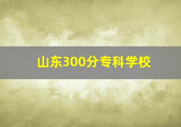 山东300分专科学校