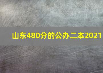 山东480分的公办二本2021