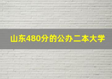 山东480分的公办二本大学