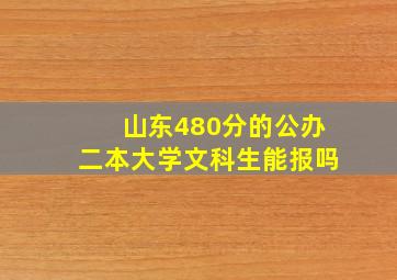 山东480分的公办二本大学文科生能报吗