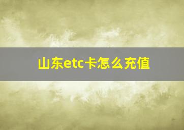 山东etc卡怎么充值