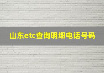 山东etc查询明细电话号码