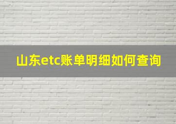 山东etc账单明细如何查询