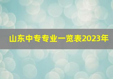 山东中专专业一览表2023年