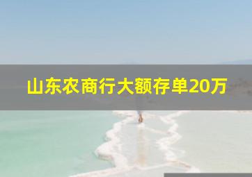 山东农商行大额存单20万