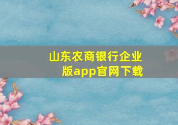 山东农商银行企业版app官网下载