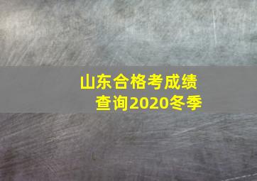 山东合格考成绩查询2020冬季