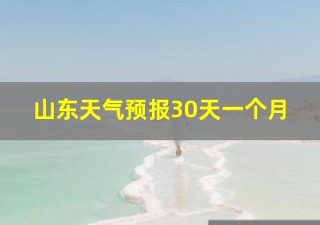 山东天气预报30天一个月