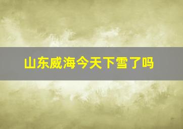 山东威海今天下雪了吗