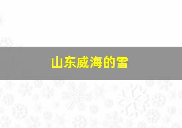 山东威海的雪