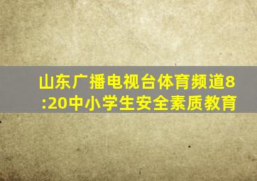 山东广播电视台体育频道8:20中小学生安全素质教育