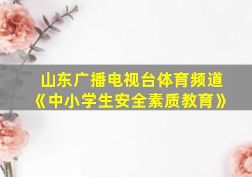 山东广播电视台体育频道《中小学生安全素质教育》