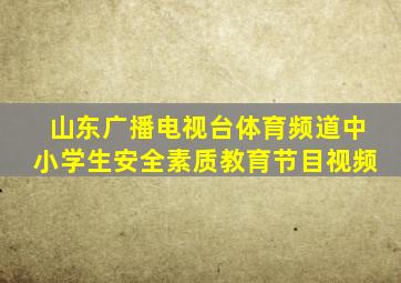 山东广播电视台体育频道中小学生安全素质教育节目视频