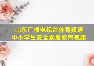 山东广播电视台体育频道中小学生安全素质教育视频