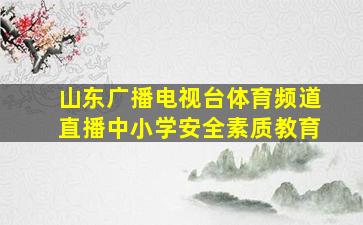 山东广播电视台体育频道直播中小学安全素质教育