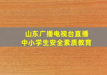 山东广播电视台直播中小学生安全素质教育