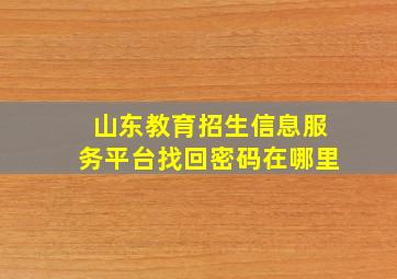 山东教育招生信息服务平台找回密码在哪里