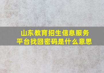 山东教育招生信息服务平台找回密码是什么意思