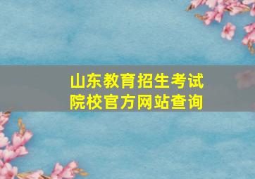 山东教育招生考试院校官方网站查询