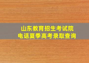 山东教育招生考试院电话夏季高考录取查询