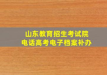 山东教育招生考试院电话高考电子档案补办