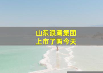 山东浪潮集团上市了吗今天