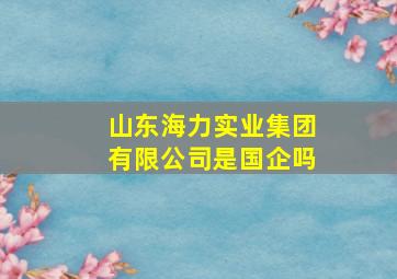 山东海力实业集团有限公司是国企吗