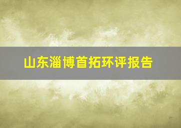 山东淄博首拓环评报告