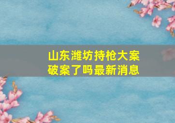 山东潍坊持枪大案破案了吗最新消息