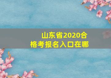 山东省2020合格考报名入口在哪