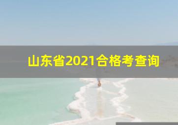 山东省2021合格考查询