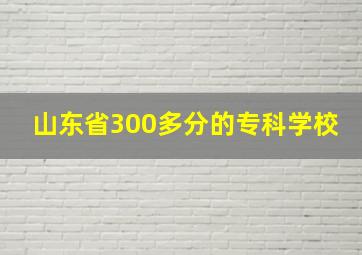 山东省300多分的专科学校