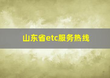 山东省etc服务热线