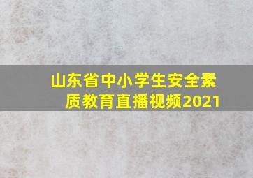 山东省中小学生安全素质教育直播视频2021