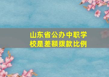 山东省公办中职学校是差额拨款比例