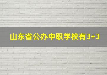 山东省公办中职学校有3+3