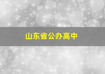 山东省公办高中