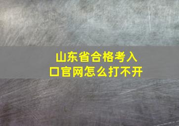 山东省合格考入口官网怎么打不开