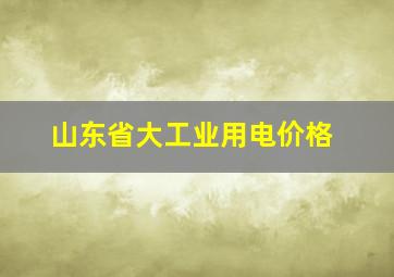 山东省大工业用电价格